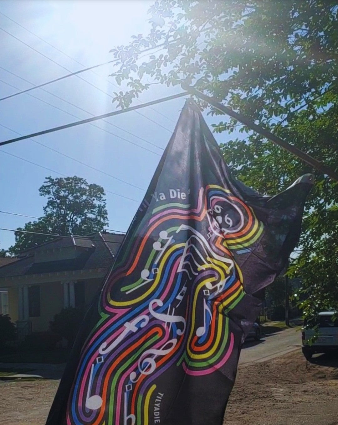 Music Man Flag