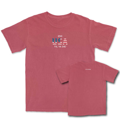 250 USA Til Ya Die Tee