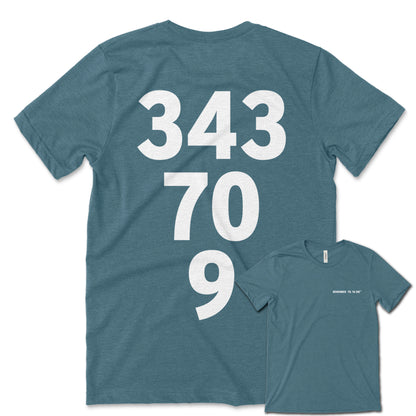 343-70-9 Remember Til Ya Die Tee