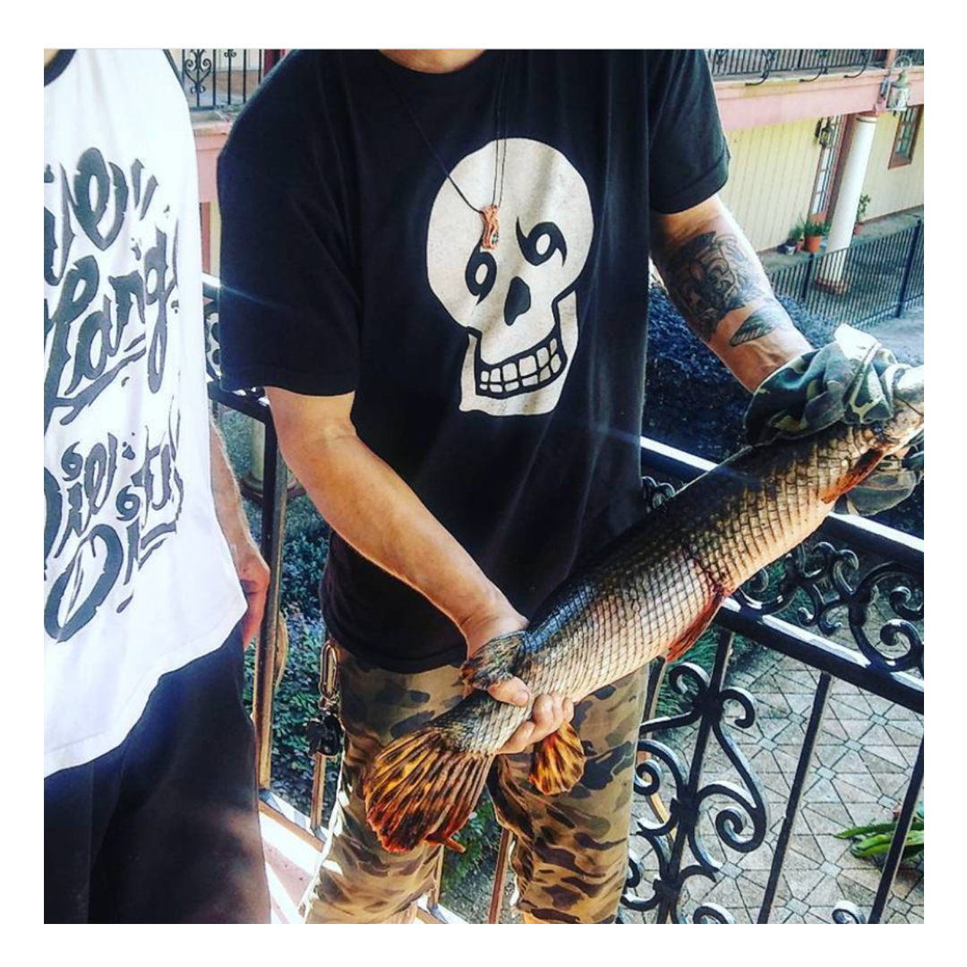 Big Skull Tee