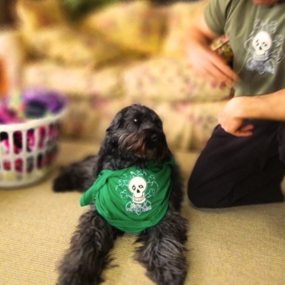 Nola Til Ya Die Irish Tee